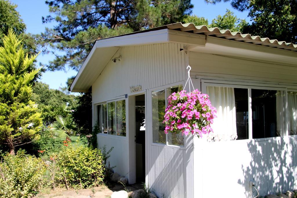 Defne Pension Çıralı Exterior foto